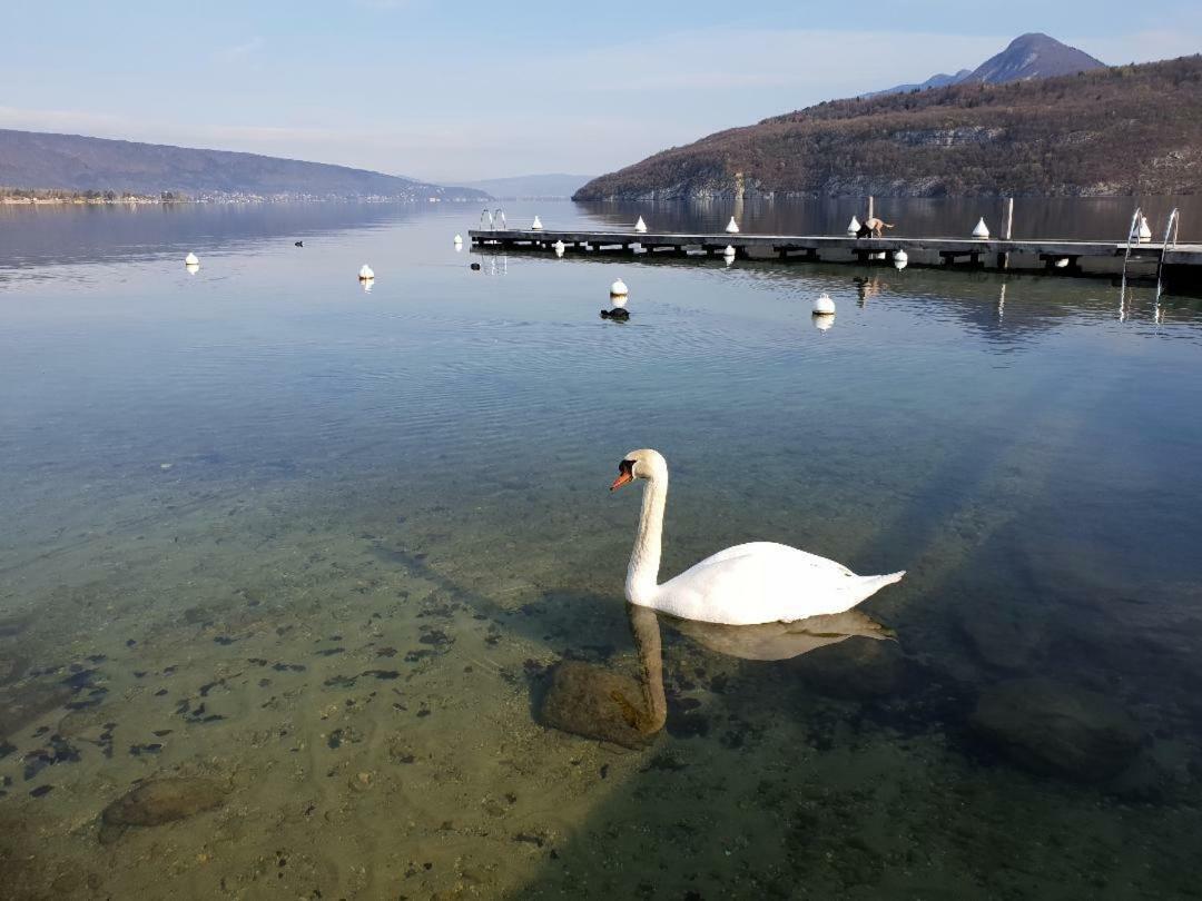 La Baie Des Voiles 3 Chambres 4 A 6 Personnes Au Bord Du Lac Plage Privee Дюэн Экстерьер фото